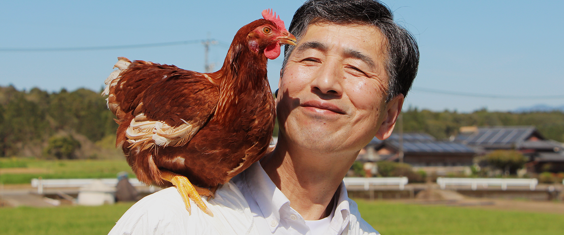 ミヤケ養鶏場