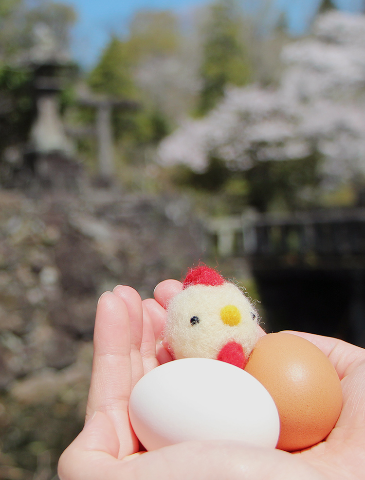 ミヤケ養鶏場