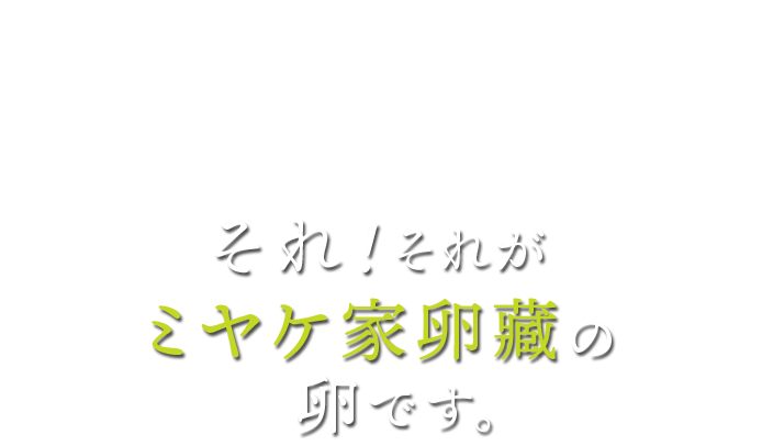 逆に、あなたの食べたい卵 買いたい卵はどんな卵？それ！ミヤケ養鶏場の卵です